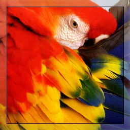 Frame FAA 05